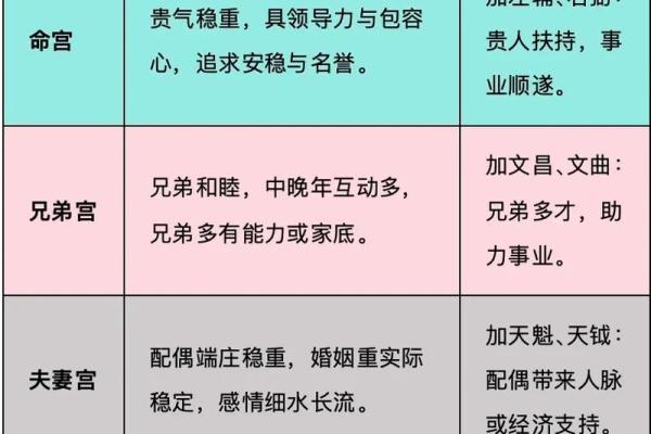 中州派紫薇斗数特点