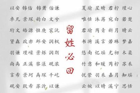 2019年3月25号辛时出生的男孩起名方法姓名